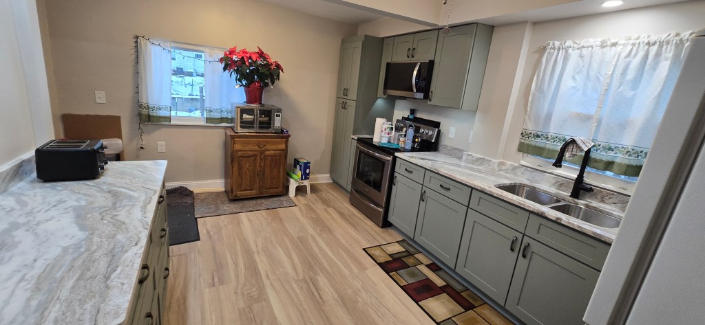 Kitchen renovation with L-shape layout, green cabinets, and stainless appliances