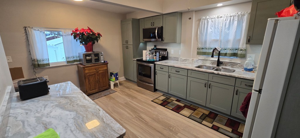 Full kitchen remodel with green cabinetry, stainless steel appliances, and modern backsplash